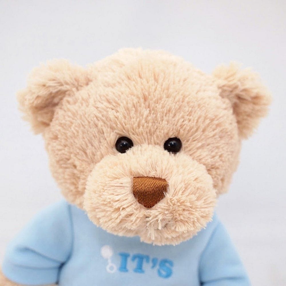 GUND It's a Girl T-Shirt Teddy Bear Stuffed Animal Plush - 12