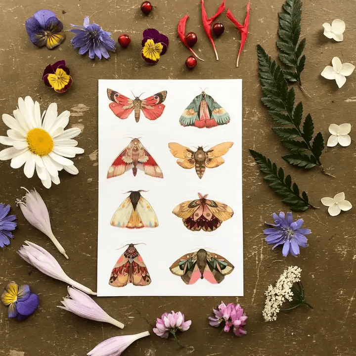 Moth Sticker Sheet