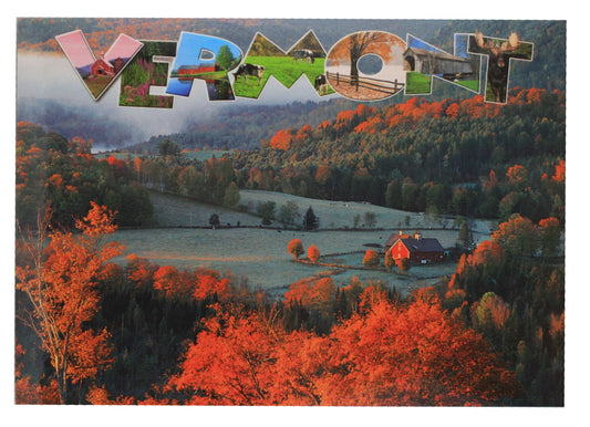 Vermont Placemat - Reversible Peacham / Sugar House