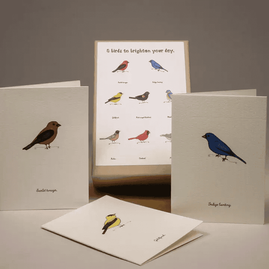 A Box of Tiny Bird Greeting Cards
