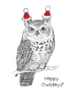 Owliday Hat - Holiday Card