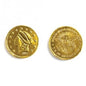 Gold Foil Coins -