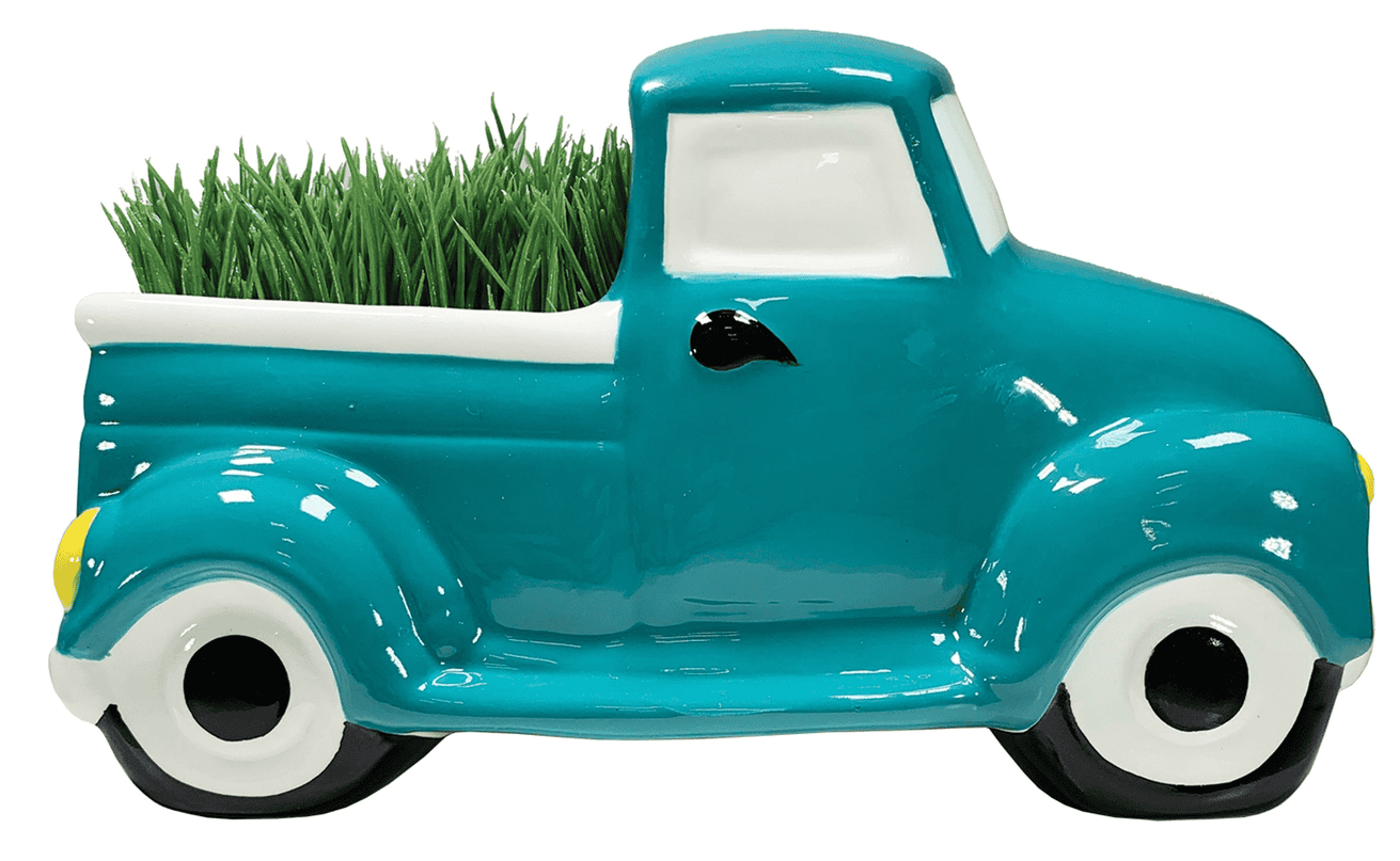 Road Trip Truck Planter