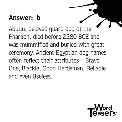 Word Teasers About Dogs