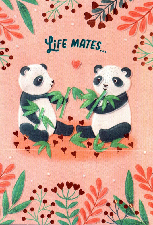 Life Mates Anniversary Card - Shelburne Country Store