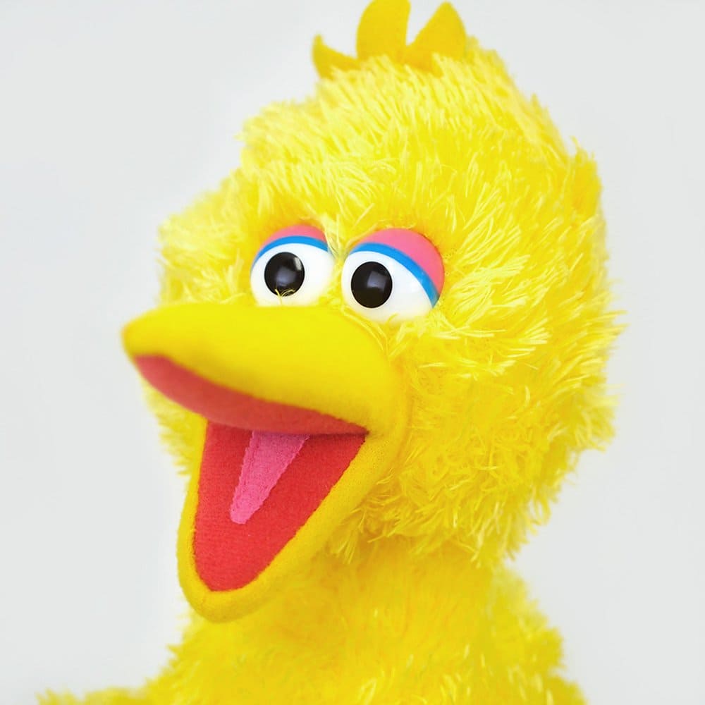 Big Bird - Medium - 14 Inch