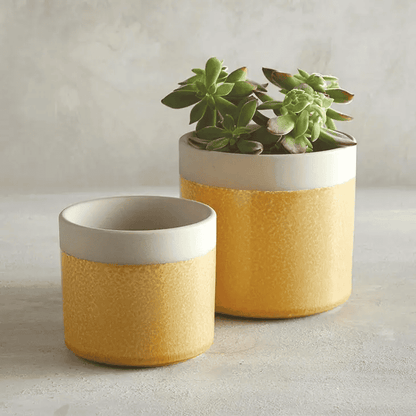 Large Yellow Pot