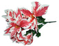 13 inch Variegated Poinsettia Stem - Shelburne Country Store