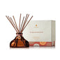 Gingerbread Petite Reed Diffuser - Shelburne Country Store