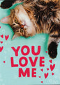 You Love Me Valentine's Day Greeting card - Shelburne Country Store
