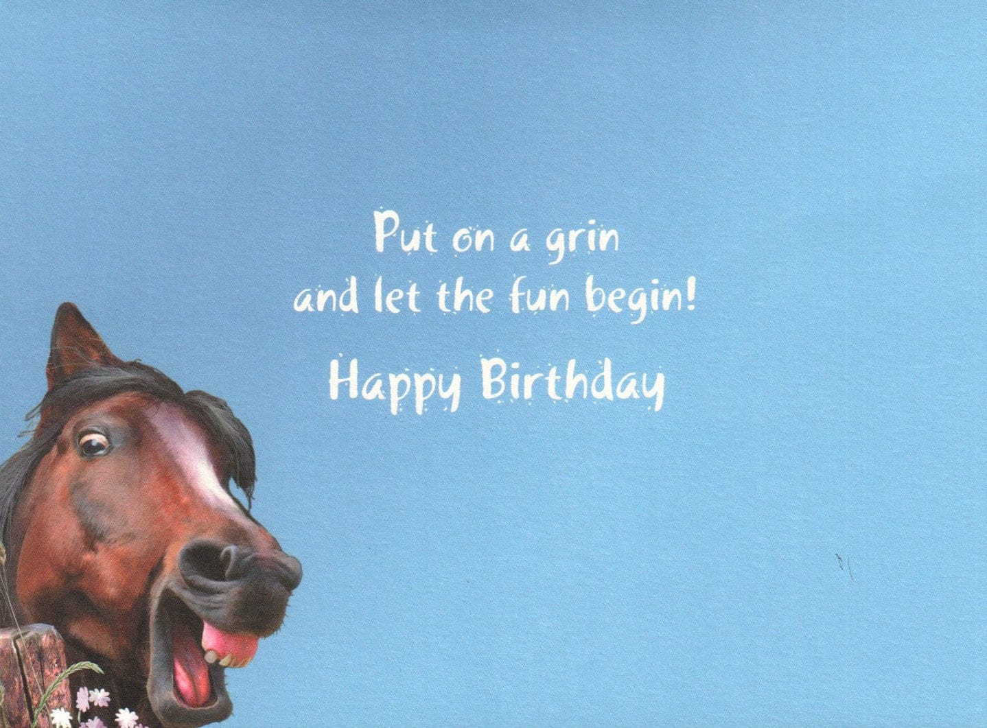 Funny Horses Birthday Card - Shelburne Country Store