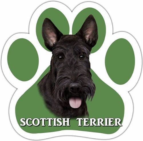 Scottie Car Magnet With Unique Paw Shape - Shelburne Country Store