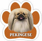 Pekingese Magnet - Shelburne Country Store