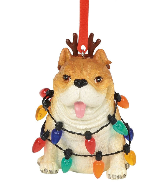 Bulldog in Lights Ornament - Shelburne Country Store
