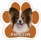 Papillion Magnet - Shelburne Country Store