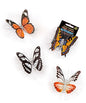 LED Butterfly - Random Style - Shelburne Country Store