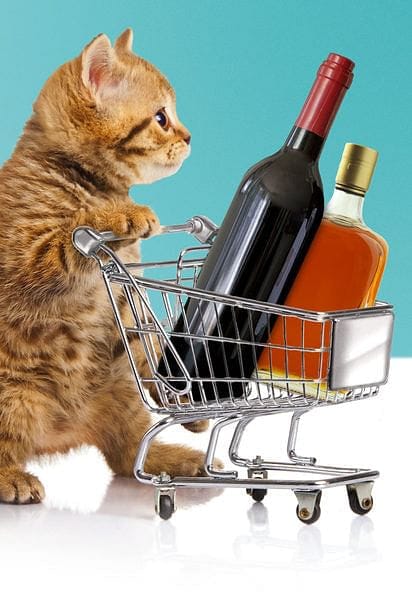 Cat With Shopping Cart Full of Liquor Funny Birthday Card - Shelburne Country Store