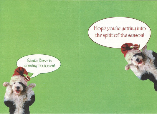 Leaning Tree Boxed Christmas Cards - Santa Paws - Shelburne Country Store