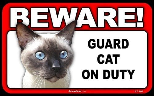 Beware Guard Cat On Duty Sign - - Shelburne Country Store