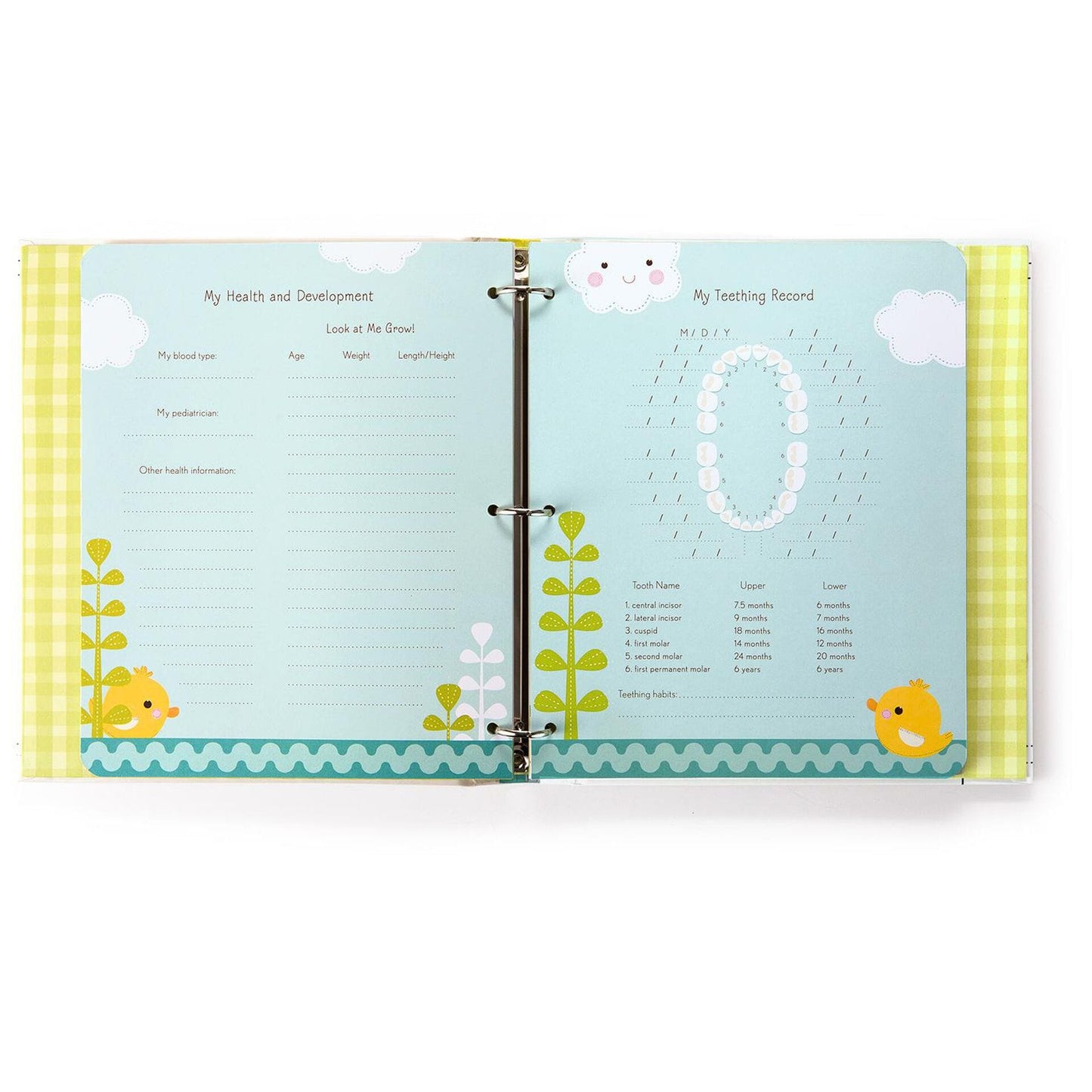 The Big Story of Little Me  Year Memory Album By Hallmark - Shelburne Country Store