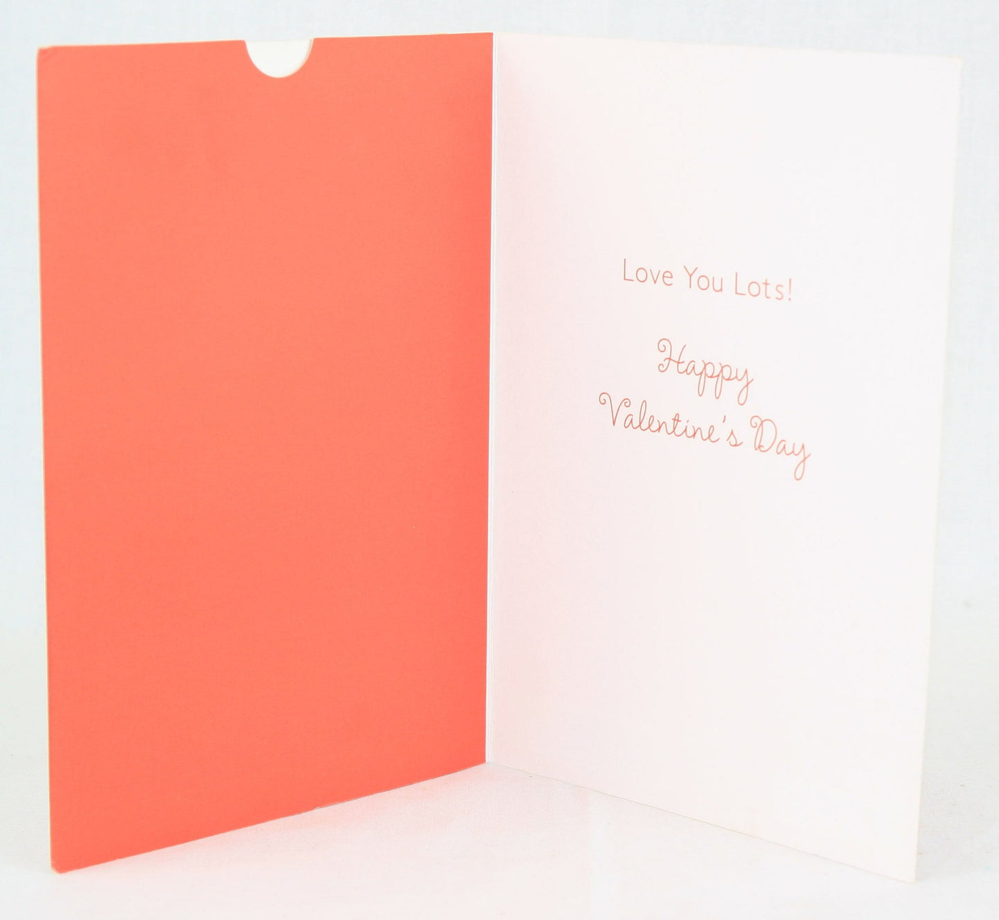 Great Kisser - Valentines Card - Shelburne Country Store