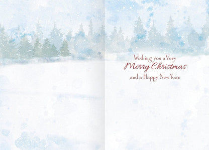 Merry Birdhouse Petite Christmas Cards - Shelburne Country Store